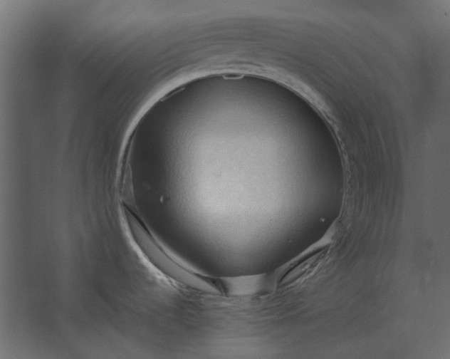 X0000067521536200604211804