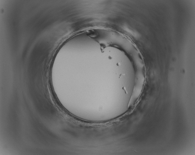 X0000067520001200604281646