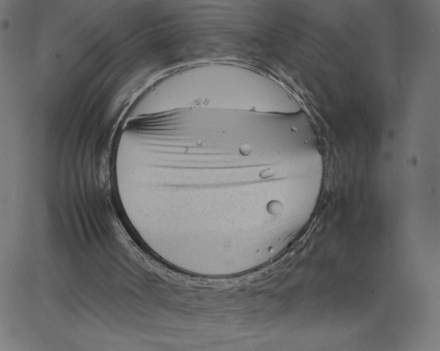 X0000067520002200604281646