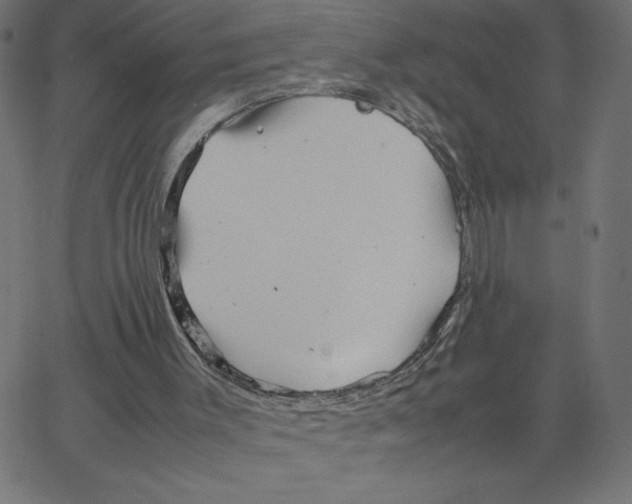 X0000067520003200604281646