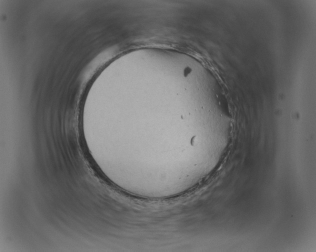 X0000067520006200604281646