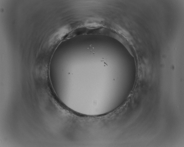 X0000067520009200604281646