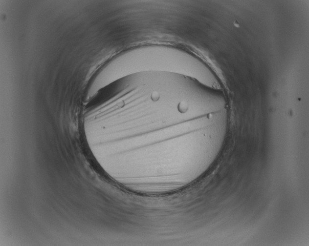 X0000067520010200604281646