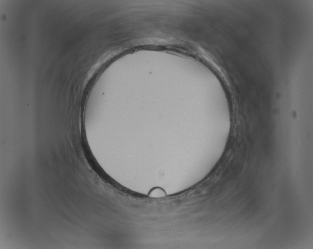 X0000067520011200604281646