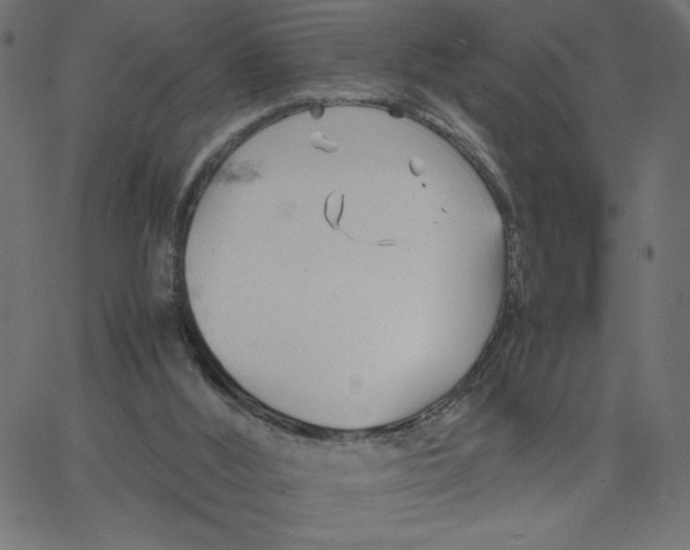 X0000067520012200604281645