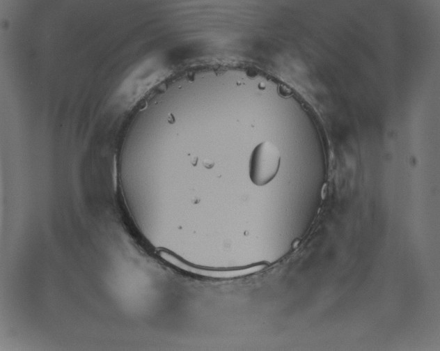 X0000067520013200604281645