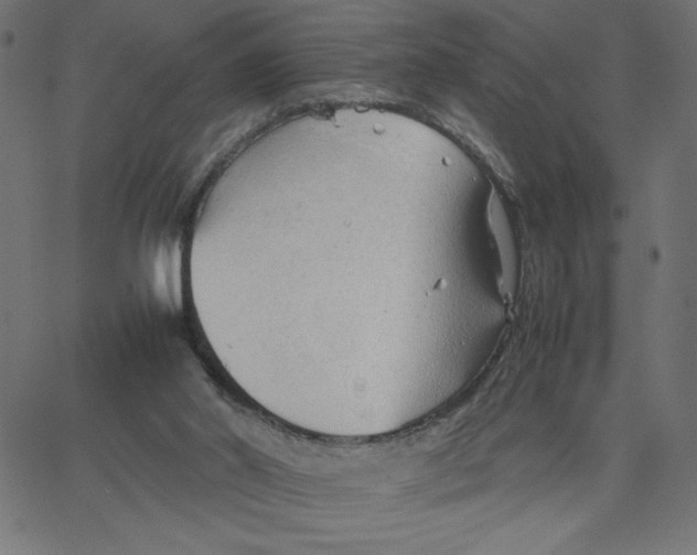 X0000067520014200604281645