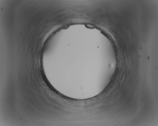 X0000067520015200604281645