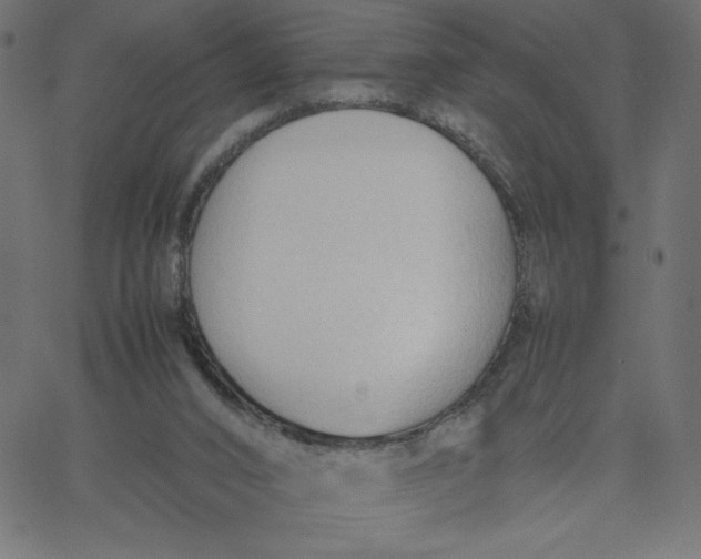 X0000067520016200604281645