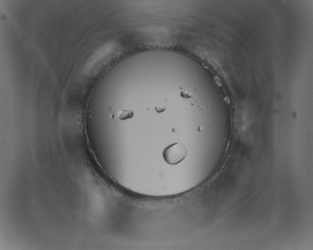 X0000067520017200604281645