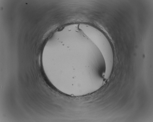 X0000067520019200604281645