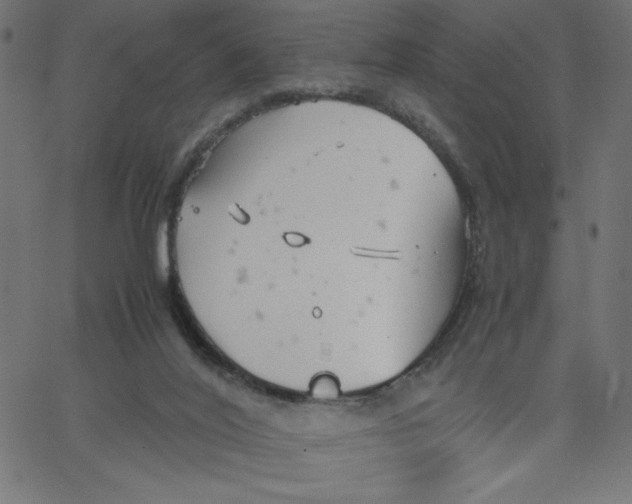 X0000067520020200604281645