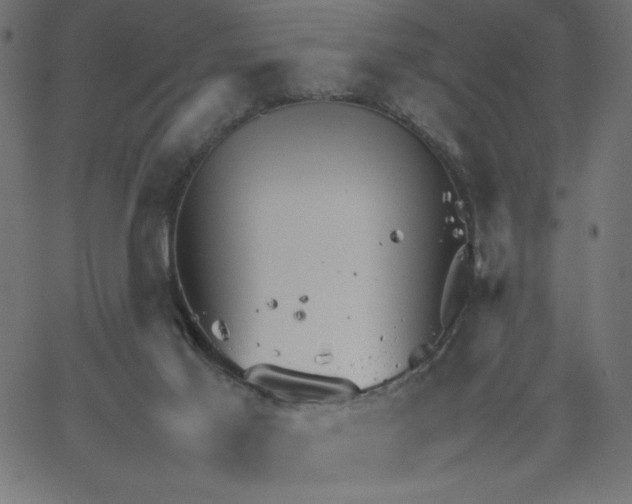 X0000067520021200604281645