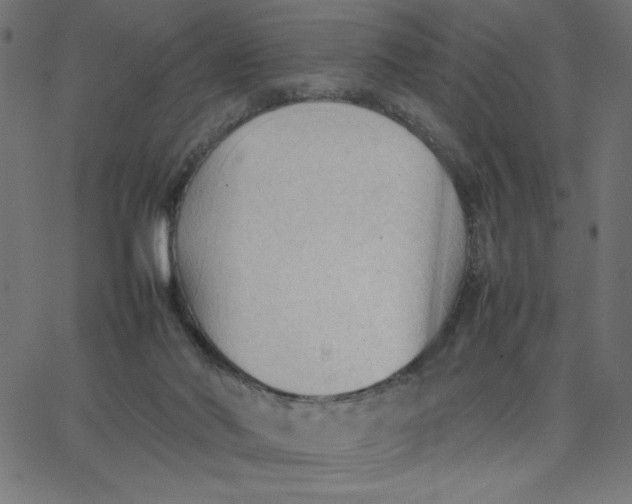 X0000067520022200604281645