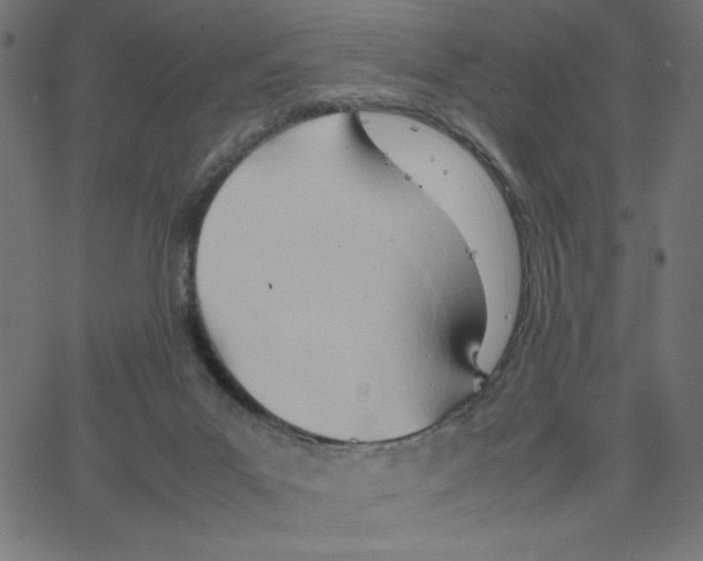 X0000067520023200604281645