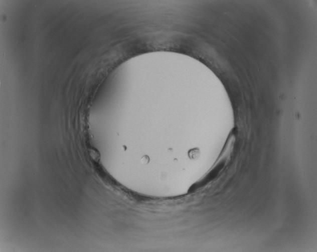 X0000067520025200604281645