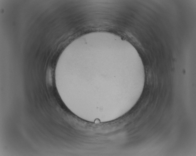 X0000067520026200604281645