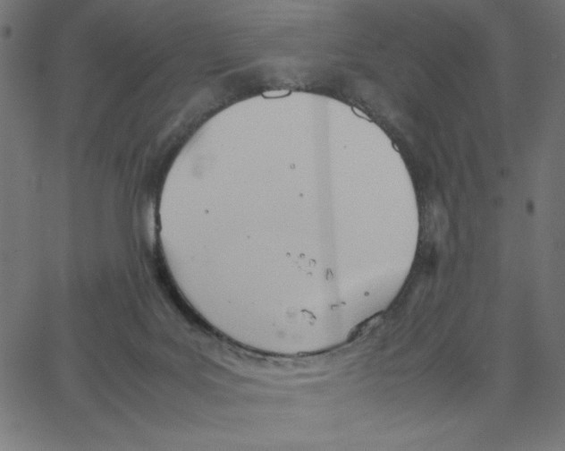 X0000067520027200604281645