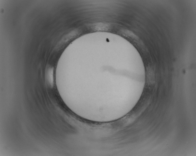 X0000067520028200604281645