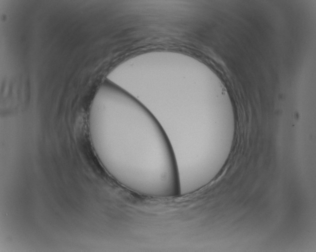 X0000067520029200604281645