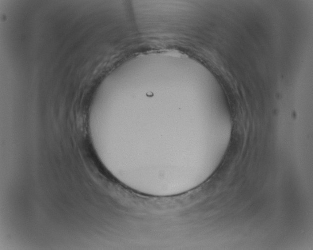 X0000067520031200604281645