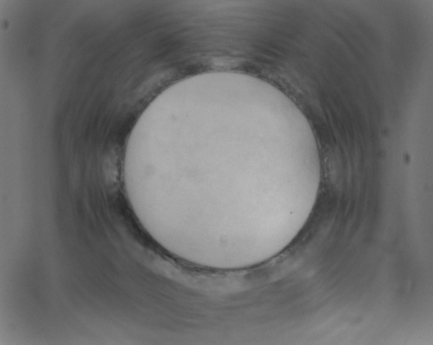 X0000067520032200604281645