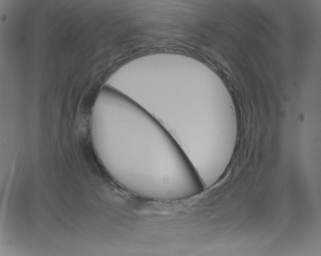 X0000067520033200604281645