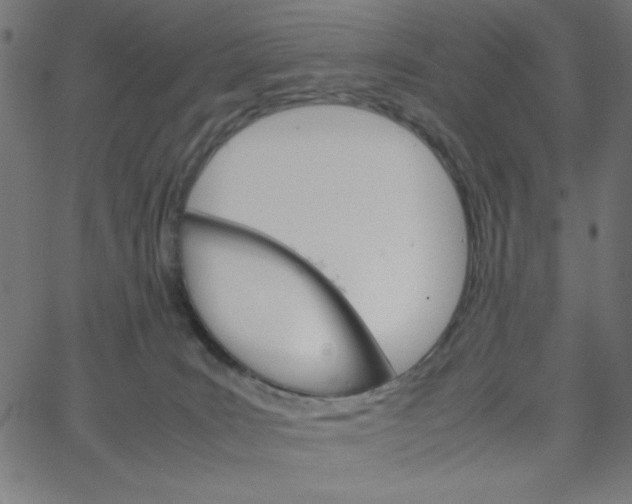 X0000067520035200604281645