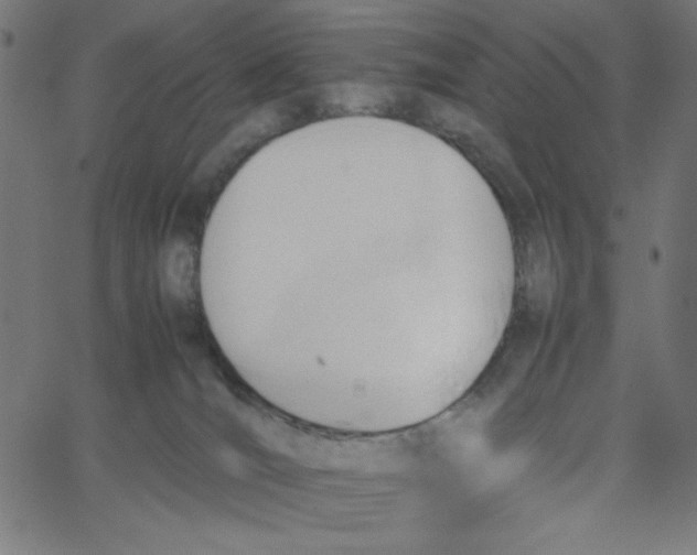 X0000067520036200604281645