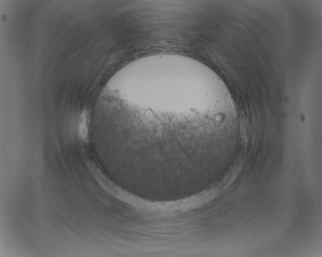 X0000067520038200604281645