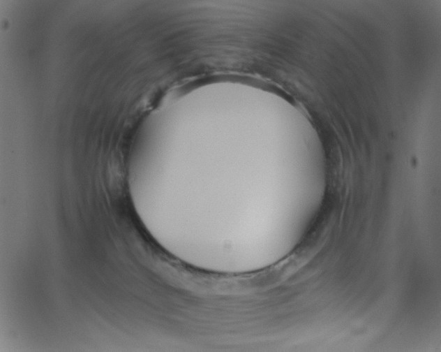 X0000067520040200604281645