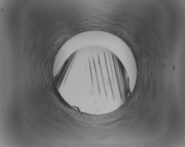 X0000067520043200604281645