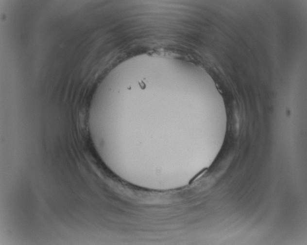 X0000067520044200604281645