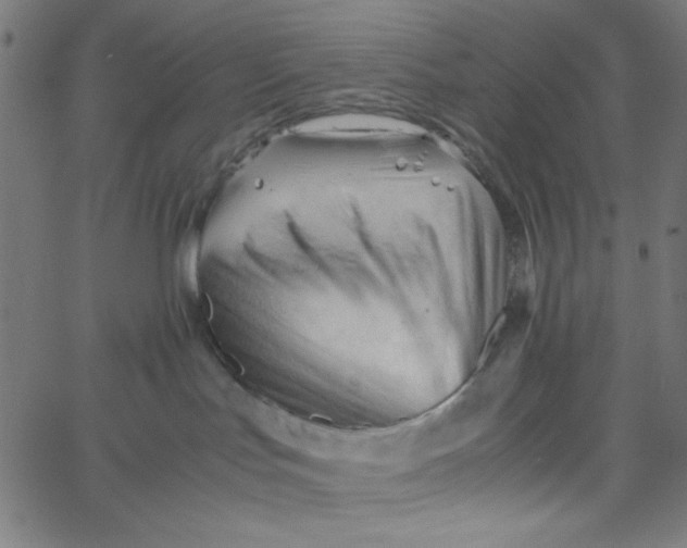 X0000067520047200604281645