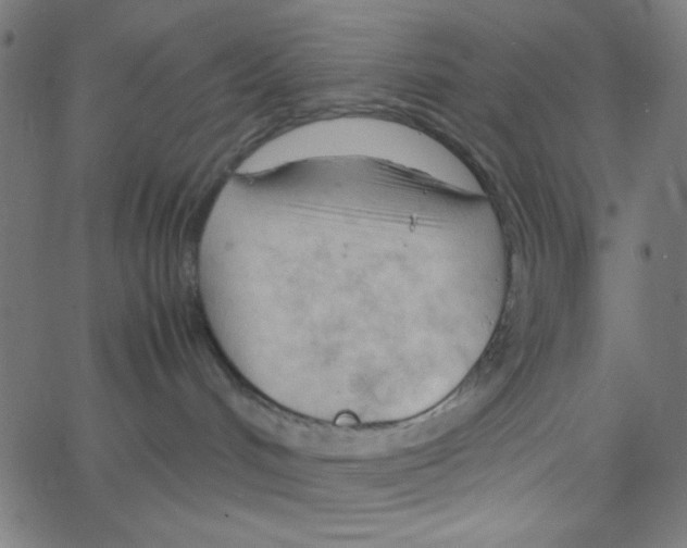 X0000067520048200604281645