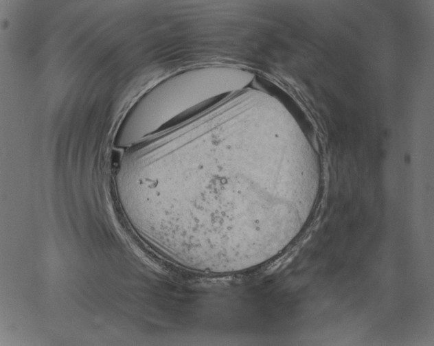 X0000067520049200604281644