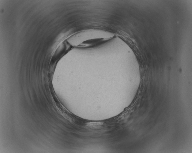 X0000067520051200604281644