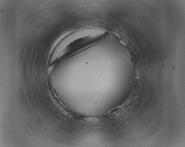 X0000067520052200604281644