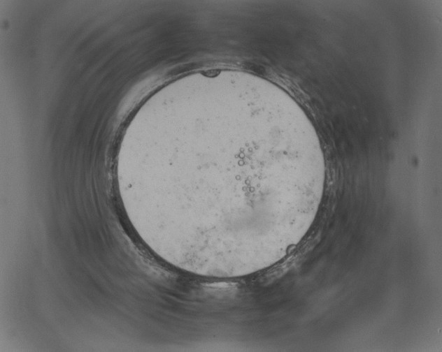 X0000067520053200604281644