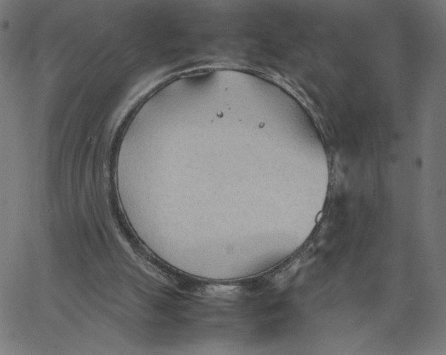 X0000067520055200604281644