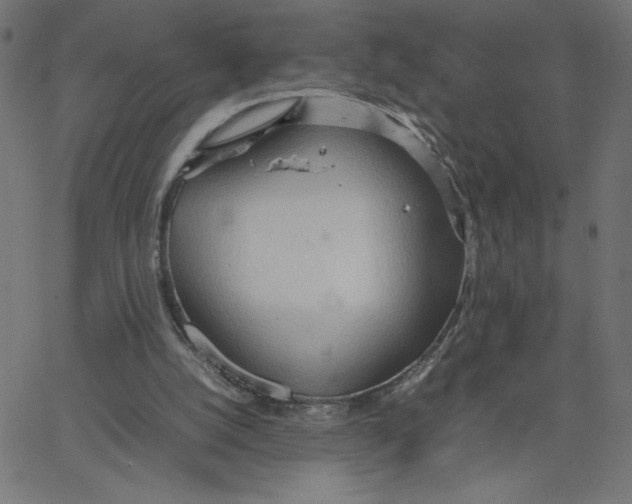 X0000067520056200604281644