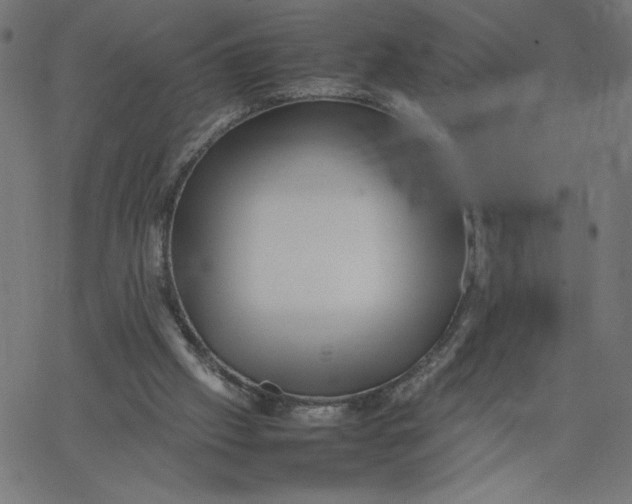 X0000067520057200604281644