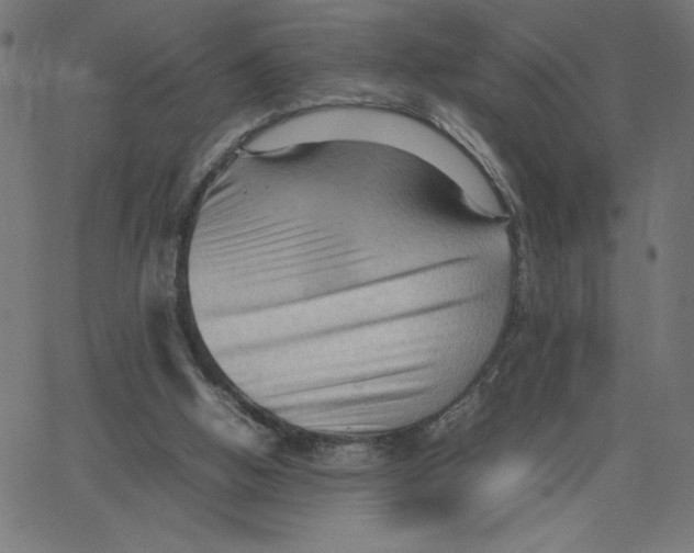 X0000067520058200604281644