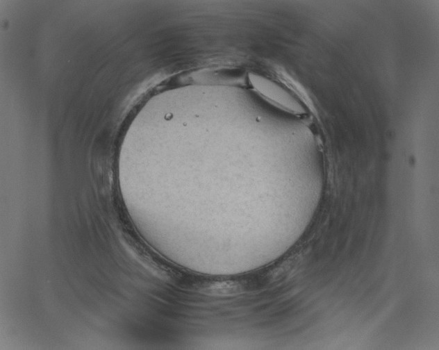 X0000067520059200604281644