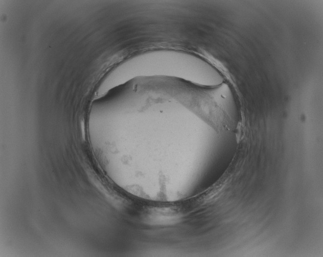 X0000067520061200604281644