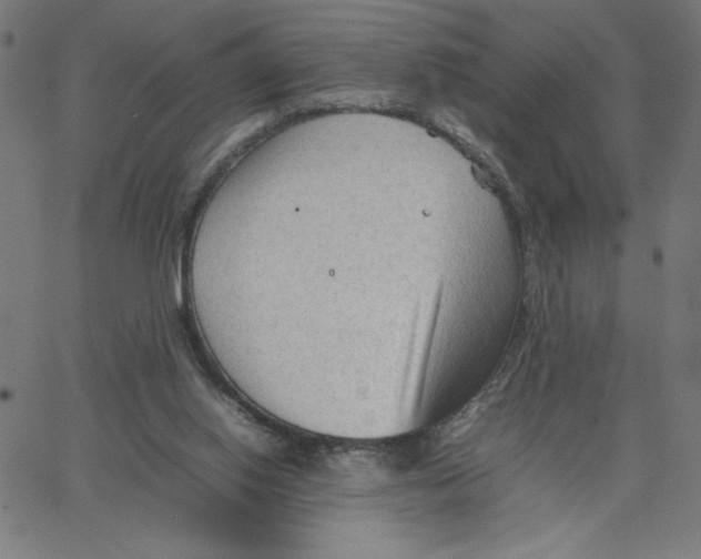 X0000067520062200604281644