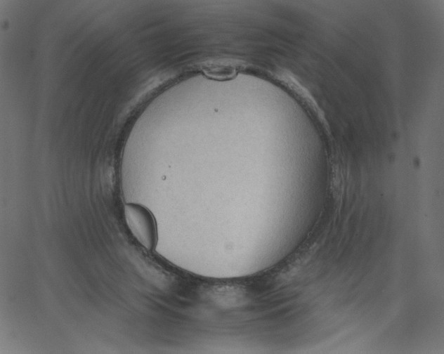 X0000067520063200604281644