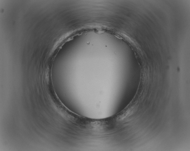 X0000067520064200604281644