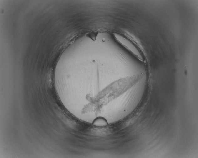 X0000067520065200604281644