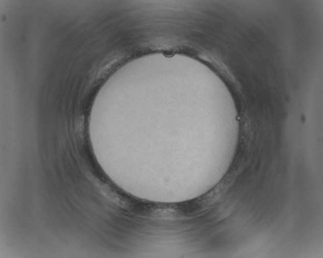 X0000067520066200604281644